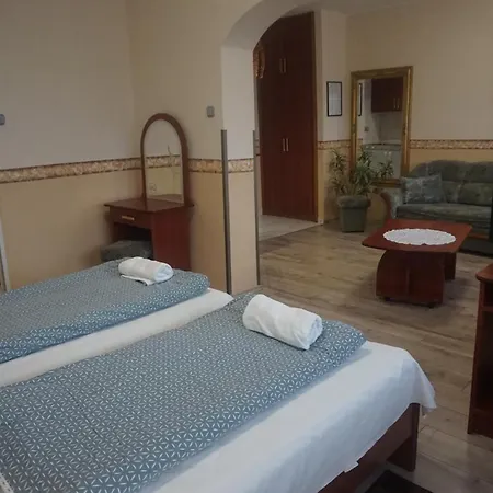 Hotel Uezlethaz Panzio Ajka